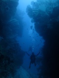 Atnam - 120x160 - Immersioni a NOsy Be - Love Bubble Social Diving.jpg