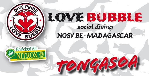 Love Bubble Social Diving - Tongasoa